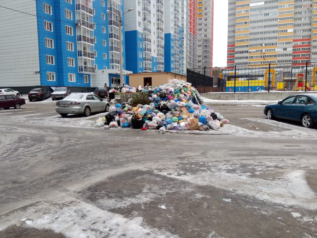 Воронежцы обратились с проблемой вывоза мусора с дворовых территорий - фото 1