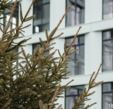 Ход строительства дома 1 в ЖК Яналиф -