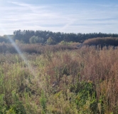 Ход строительства дома 6.1 в ЖК Форест -