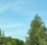 Ход строительства дома 3, секция 3.2 в ЖК Расцветай в Новолуговом -