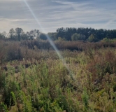 Ход строительства дома 6.1 в ЖК Форест -