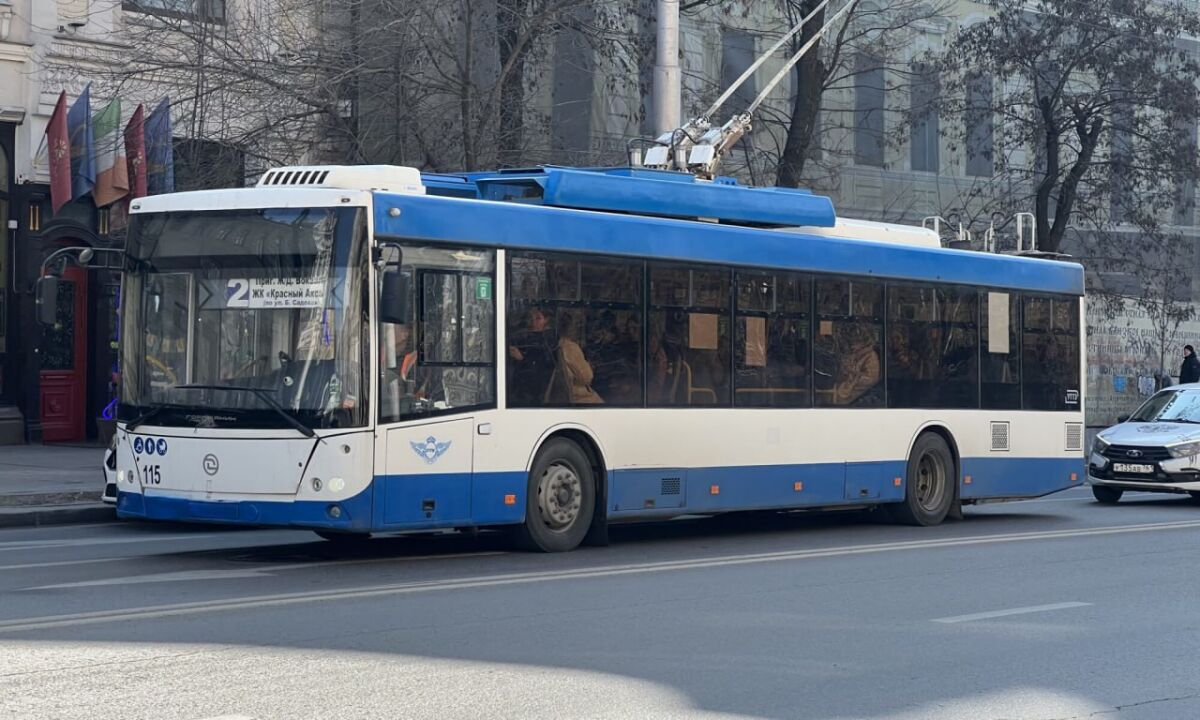 Ростовский перевозчик назвал причину нехватки транспорта на линии - фото 1