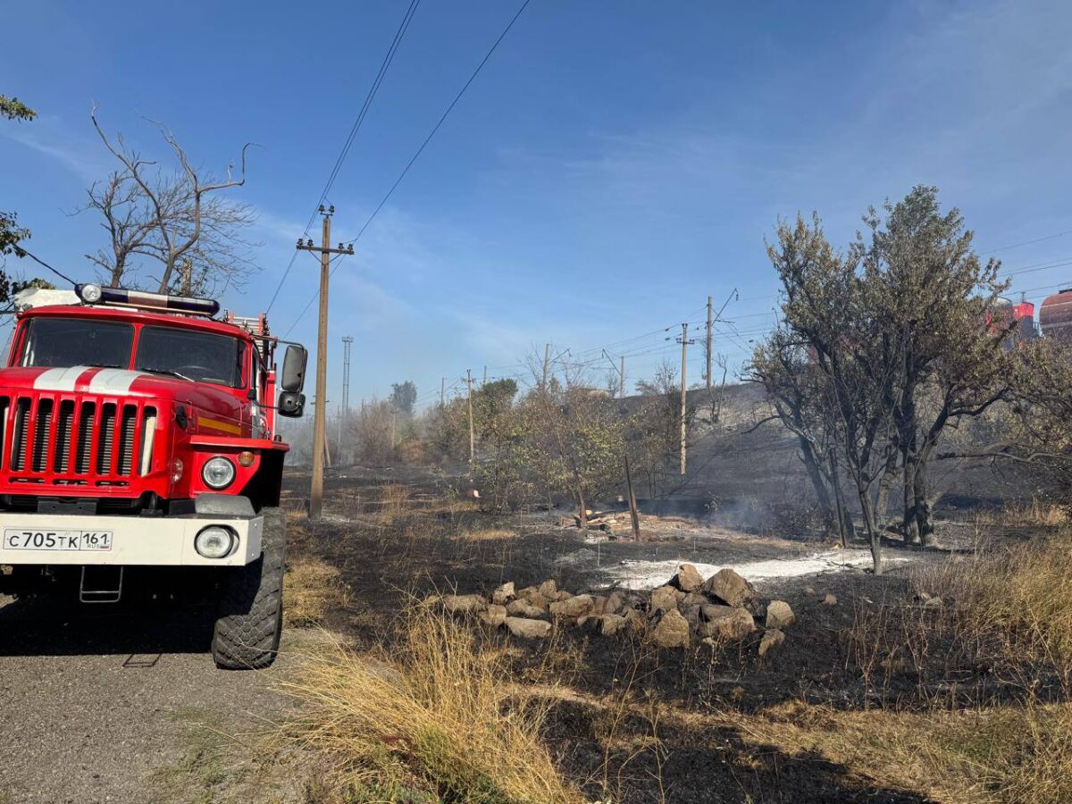 Из-за ландшафтного пожара в Каменске-Шахтинском пострадали семь домов - фото 1
