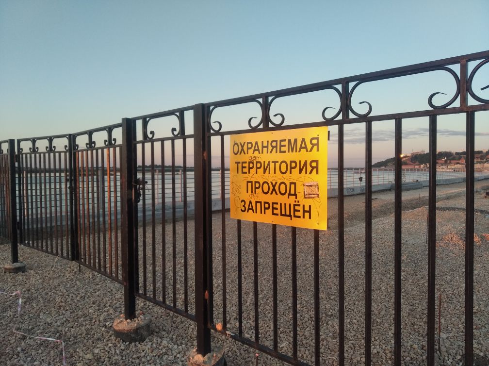 В Нижнем Новгороде запретили косить траву ниже 5 сантиметров - фото 1